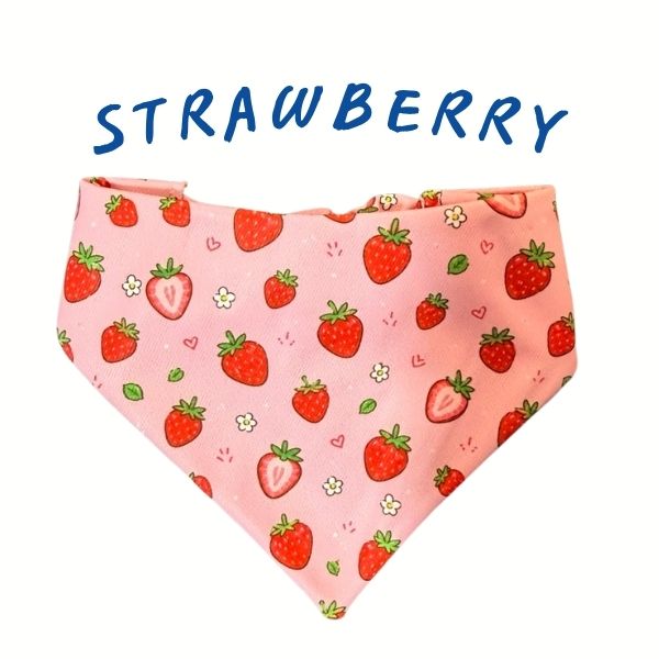 Strawberry Scrunchie Bandana
