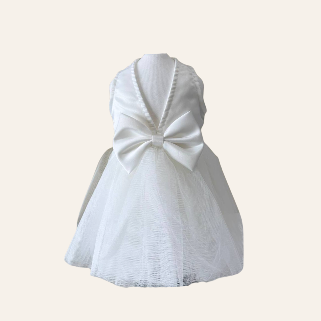 Dream Tutu Pet Dress Collection – Ivory/Sage Mint
